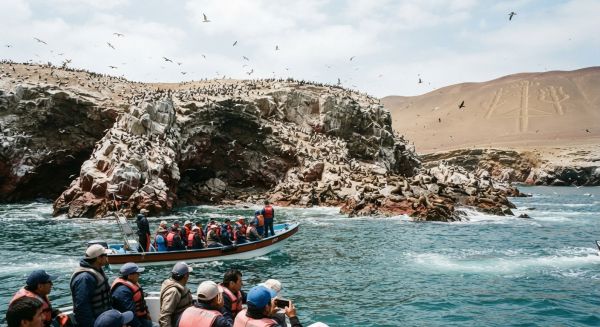 Découvrez les incontournables des Îles Ballestas au Pérou